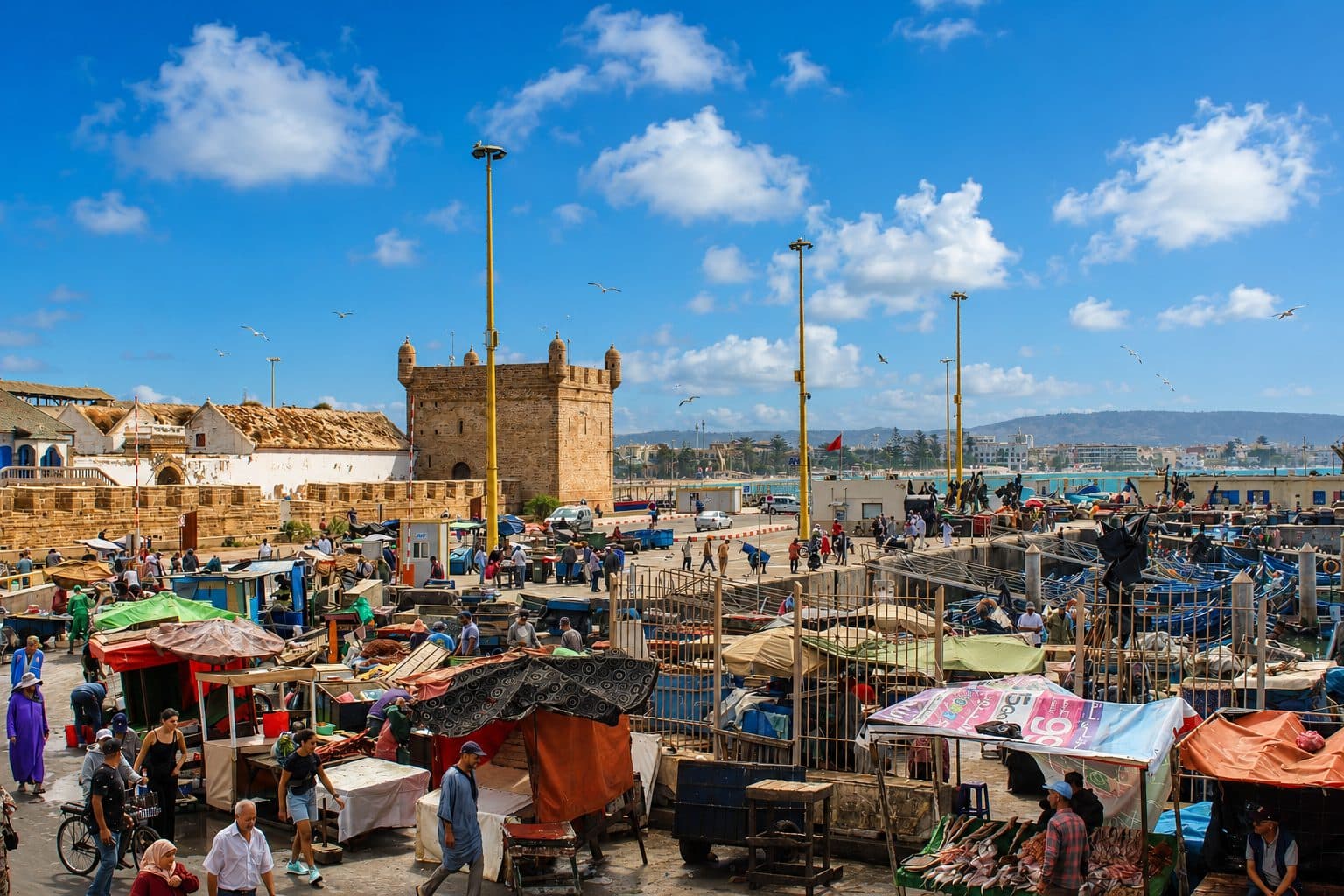 Le Port d'Essaouira